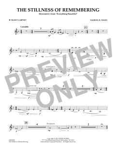 The Stillness Of Remembering von Samuel R. Hazo (Download) 