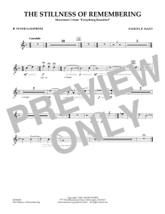 The Stillness Of Remembering von Samuel R. Hazo (Download) 