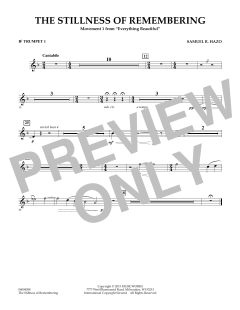 The Stillness Of Remembering von Samuel R. Hazo (Download) 