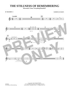 The Stillness Of Remembering von Samuel R. Hazo (Download) 