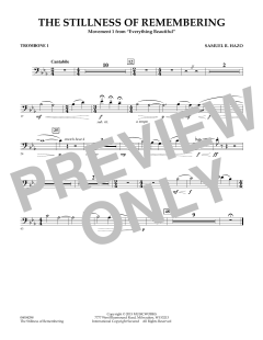 The Stillness Of Remembering von Samuel R. Hazo (Download) 