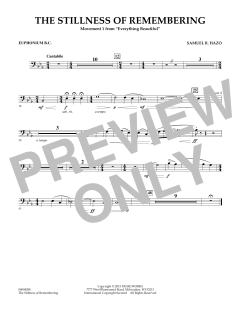 The Stillness Of Remembering von Samuel R. Hazo (Download) 