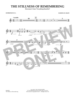 The Stillness Of Remembering von Samuel R. Hazo (Download) 