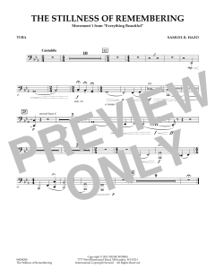 The Stillness Of Remembering von Samuel R. Hazo (Download) 