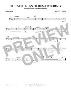 The Stillness Of Remembering von Samuel R. Hazo (Download) 