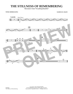 The Stillness Of Remembering von Samuel R. Hazo (Download) 