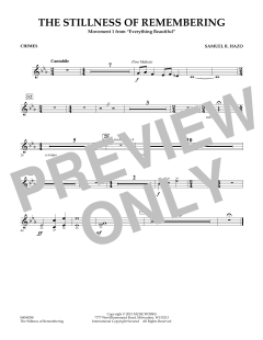 The Stillness Of Remembering von Samuel R. Hazo (Download) 