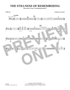 The Stillness Of Remembering von Samuel R. Hazo (Download) 