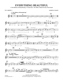 Everything Beautiful von Samuel R. Hazo (Download) 