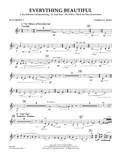 Everything Beautiful von Samuel R. Hazo (Download) 