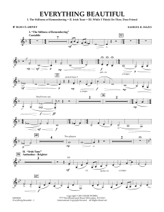 Everything Beautiful von Samuel R. Hazo (Download) 