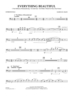 Everything Beautiful von Samuel R. Hazo (Download) 