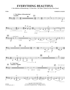 Everything Beautiful von Samuel R. Hazo (Download) 