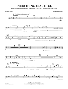 Everything Beautiful von Samuel R. Hazo (Download) 