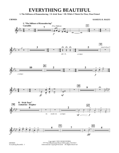 Everything Beautiful von Samuel R. Hazo (Download) 