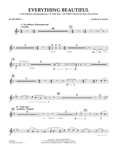 Everything Beautiful von Samuel R. Hazo (Download) 