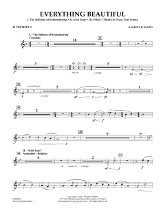 Everything Beautiful von Samuel R. Hazo (Download) 