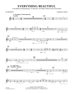 Everything Beautiful von Samuel R. Hazo (Download) 