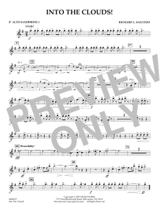 Into The Clouds! von Richard L. Saucedo (Download) 