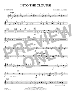 Into The Clouds! von Richard L. Saucedo (Download) 