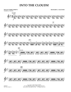 Into The Clouds! von Richard L. Saucedo (Download) 