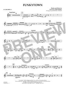 Funkytown von Steven Greenberg (Download) 