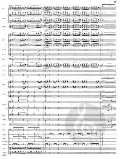 Danza Sinfonica op.117 (James Barnes) 