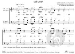 Alpenländischer Advent (Lorenz Maierhofer) 