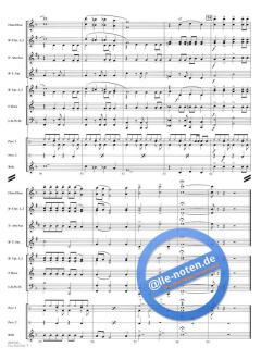 Fun, Fun, Fun von Brian Wilson 