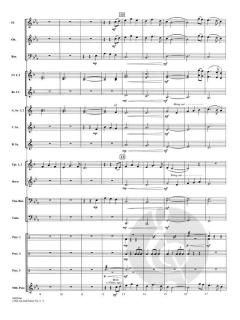 Celtic Air and Dance No. 4 von Michael Sweeney 