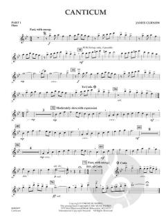 Canticum von James Curnow 