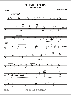 Flugel Nights von Mark Taylor (Download) 