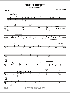 Flugel Nights von Mark Taylor (Download) 