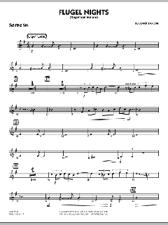 Flugel Nights von Mark Taylor (Download) 