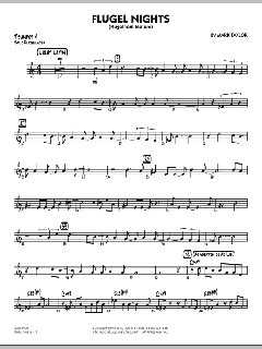 Flugel Nights von Mark Taylor (Download) 