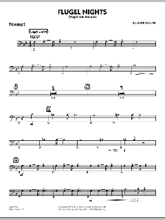 Flugel Nights von Mark Taylor (Download) 