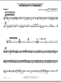 Nobody's Perfect von Hannah Montana (Download) 