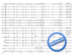 Nobody's Perfect von Hannah Montana (Download) 