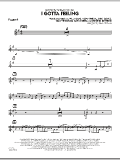 I Gotta Feeling von Black Eyed Peas (Download) 