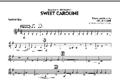 Sweet Caroline von Neil Diamond (Download) 