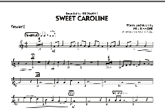Sweet Caroline von Neil Diamond (Download) 