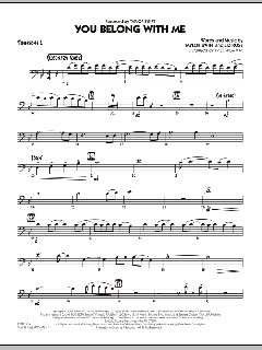 You Belong With Me von Taylor Swift (Download) 