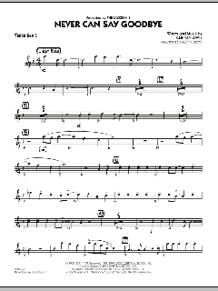 Never Can Say Goodbye von The Jackson 5 (Download) 