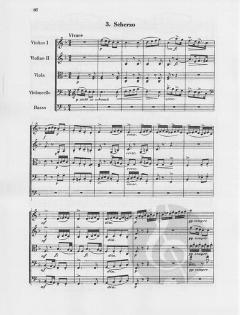 Serenade E-Dur op. 22 von Antonín Dvorák 