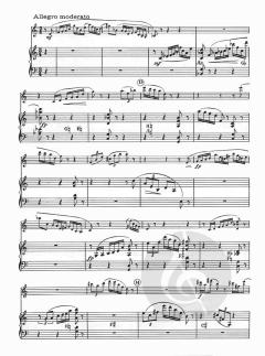 Serenata von Lotte Backes 