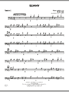 Sunny von Bobby Hebb (Download) 
