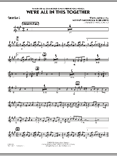 We're All In This Together von Matthew Gerrard (Download) 