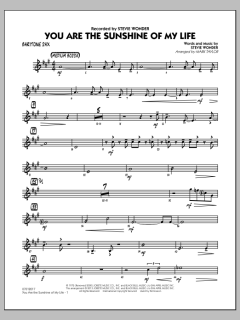 You Are The Sunshine Of My Life von Stevie Wonder (Download) 