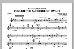 You Are The Sunshine Of My Life von Stevie Wonder (Download) 