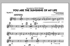 You Are The Sunshine Of My Life von Stevie Wonder (Download) 